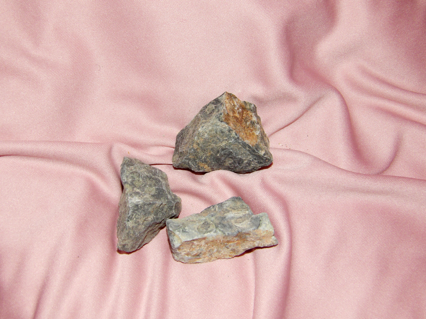 Raw Crocodile Jasper