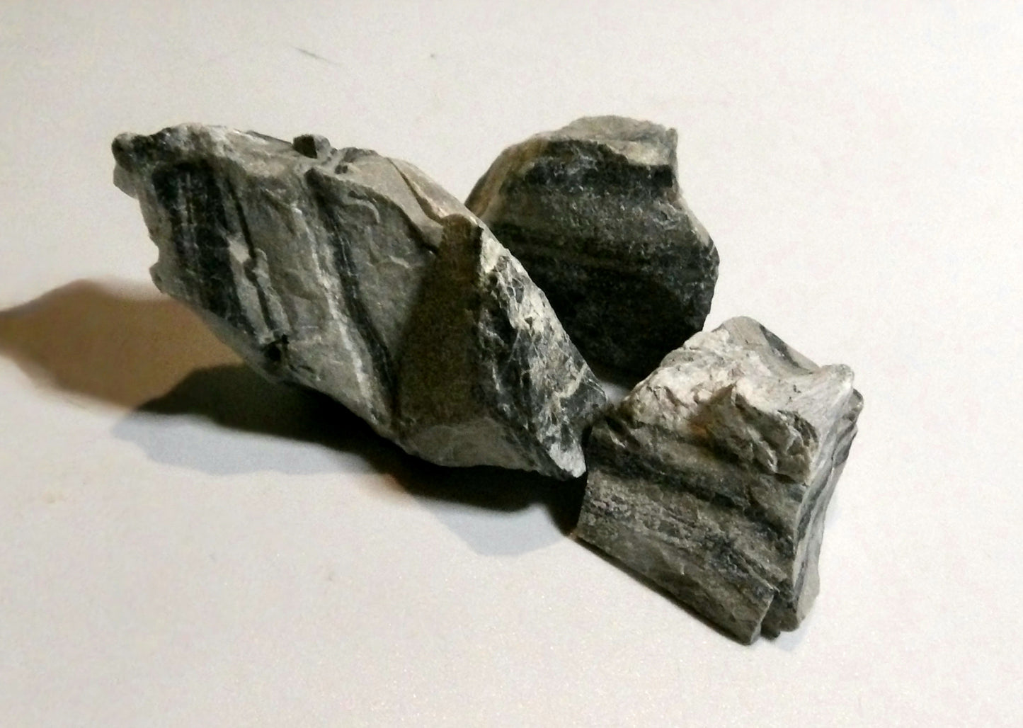 Zebra Onyx
