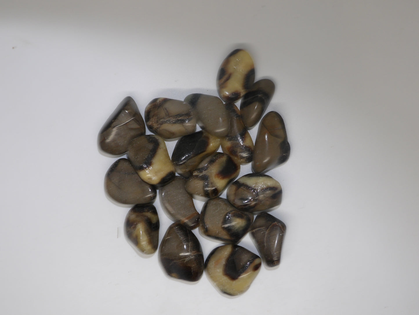 Tumbled Septarian