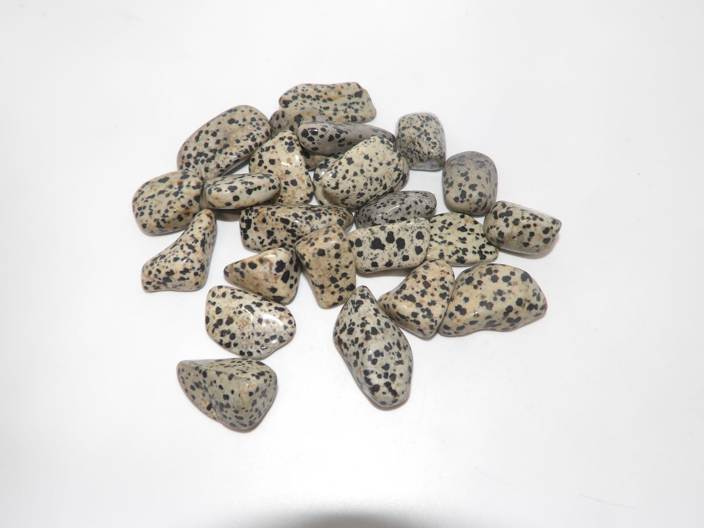 Tumbled Dalmatian Jasper
