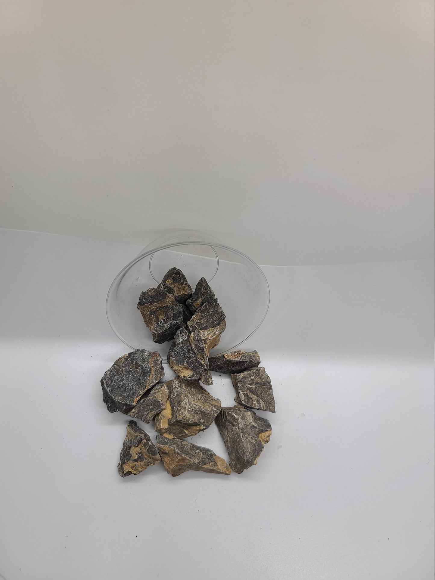 Raw Stromatolite