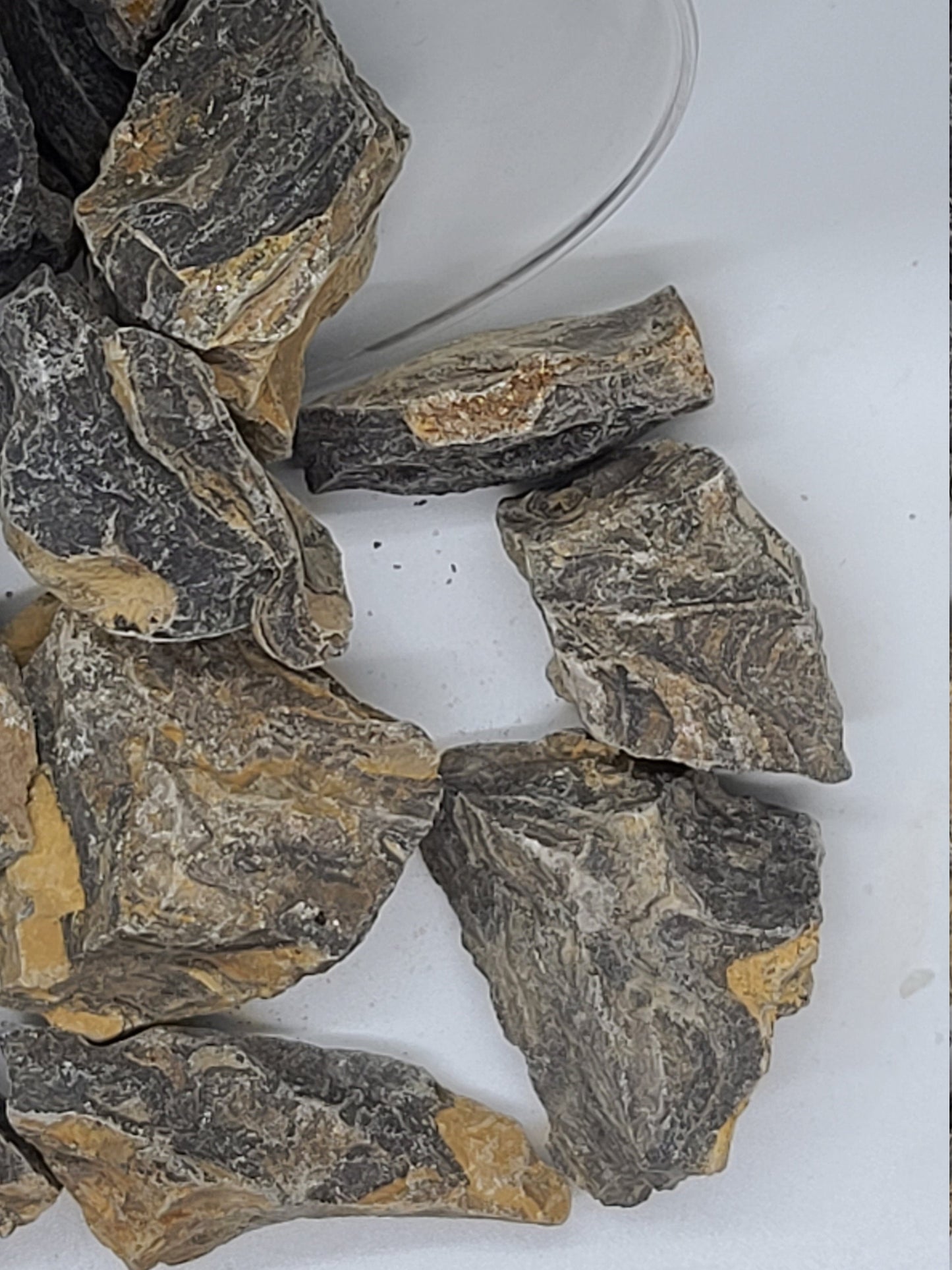 Raw Stromatolite