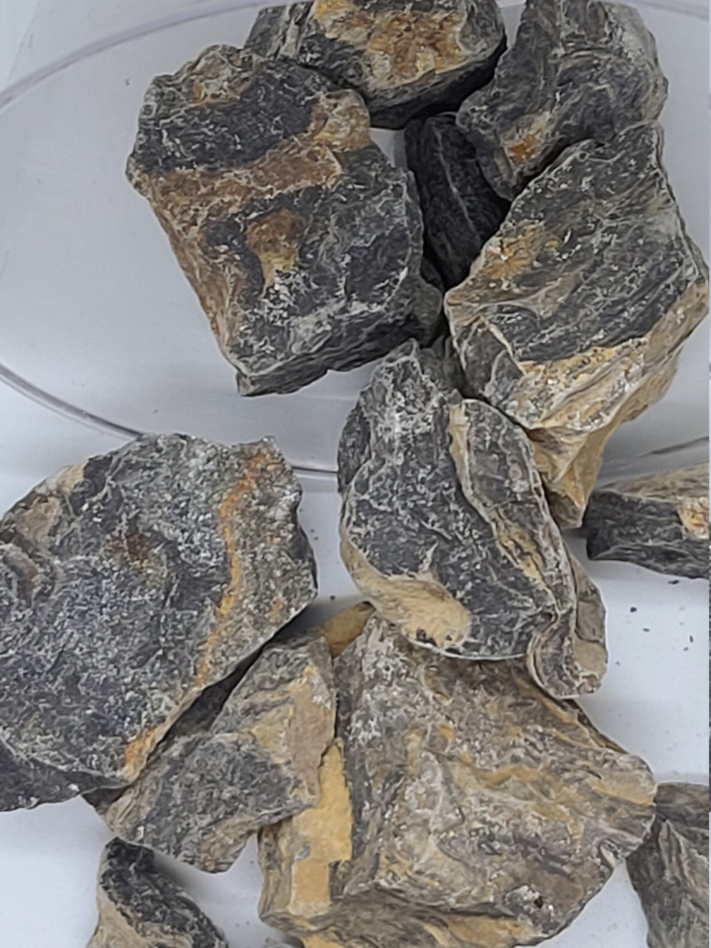 Raw Stromatolite