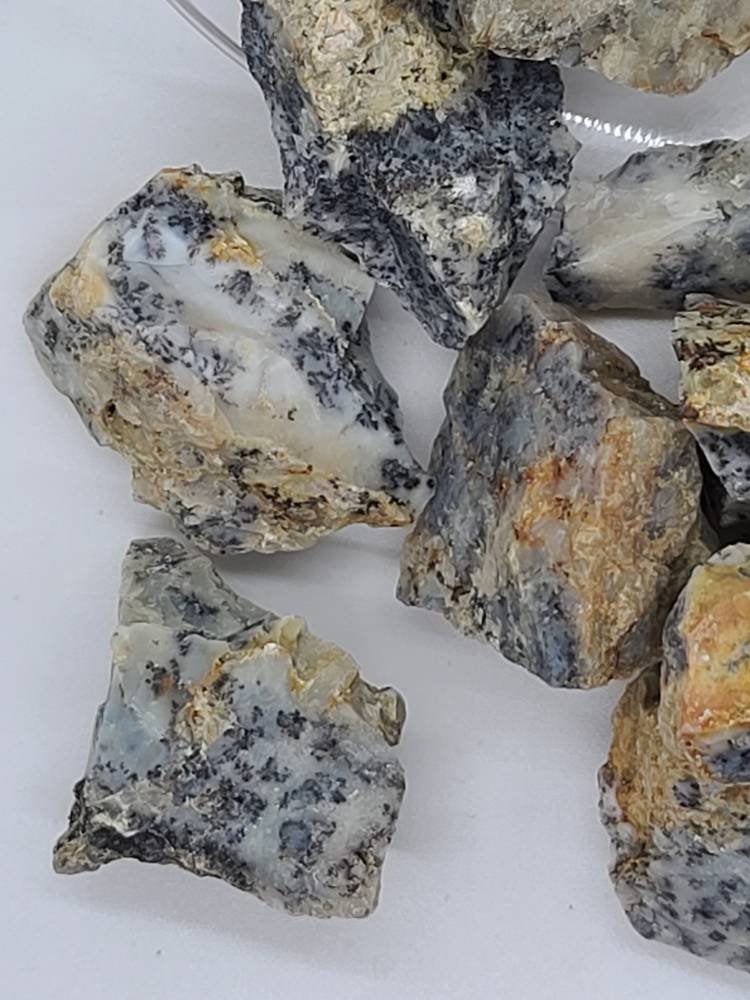 Raw Dendtritic Chalcedony