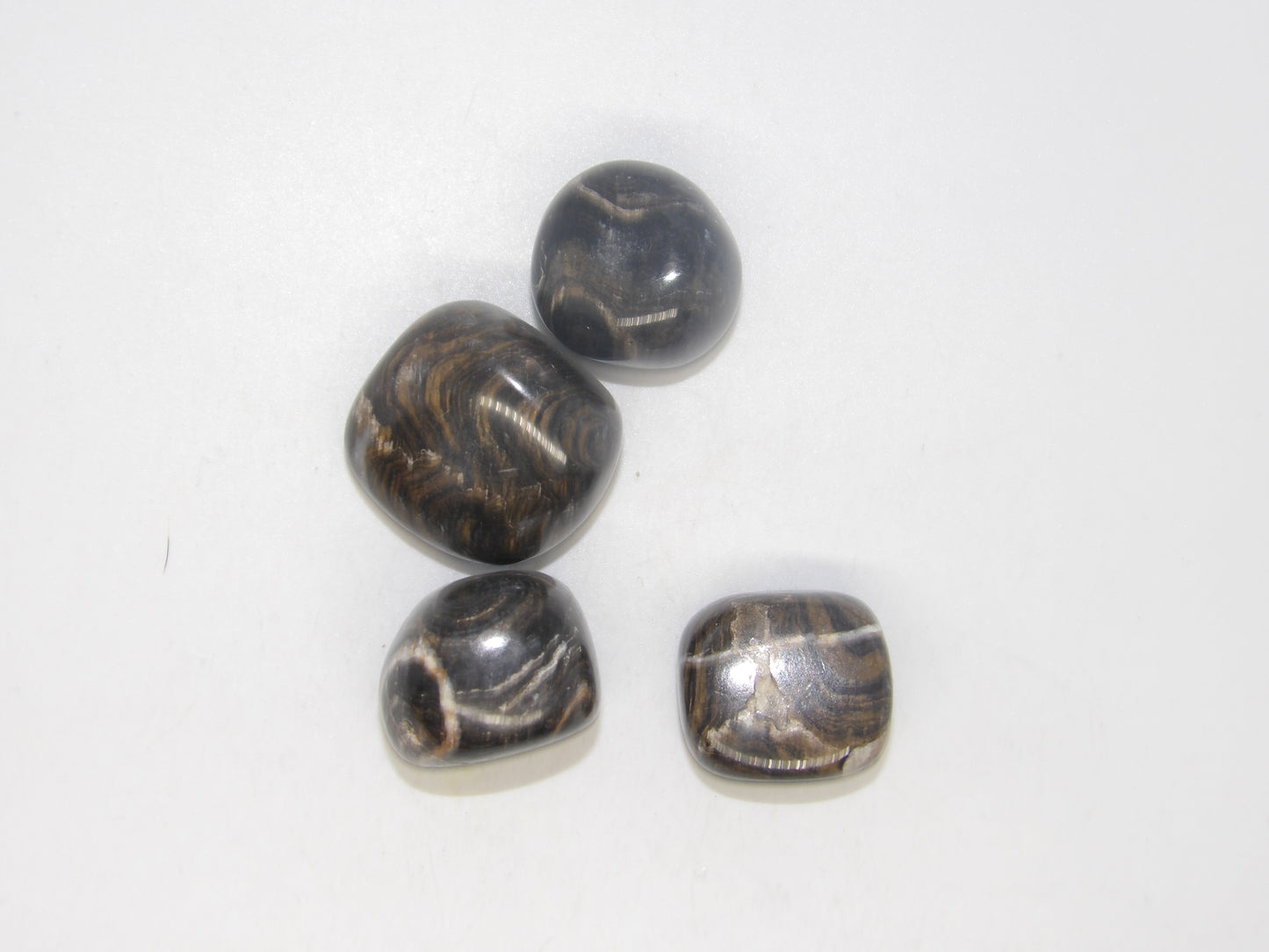 Tumbled Stromatolite