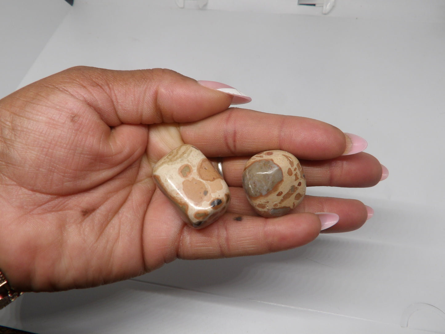 Leopard Jasper