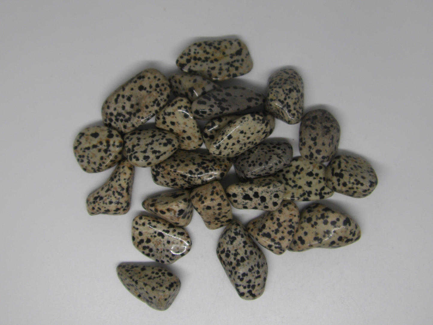 Tumbled Dalmatian Jasper