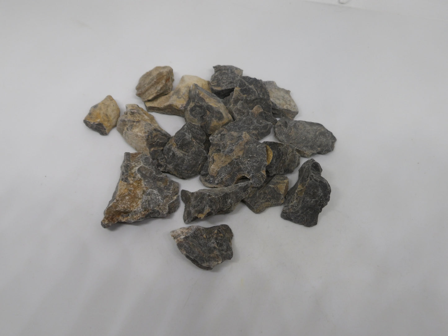 Raw Stromatolite