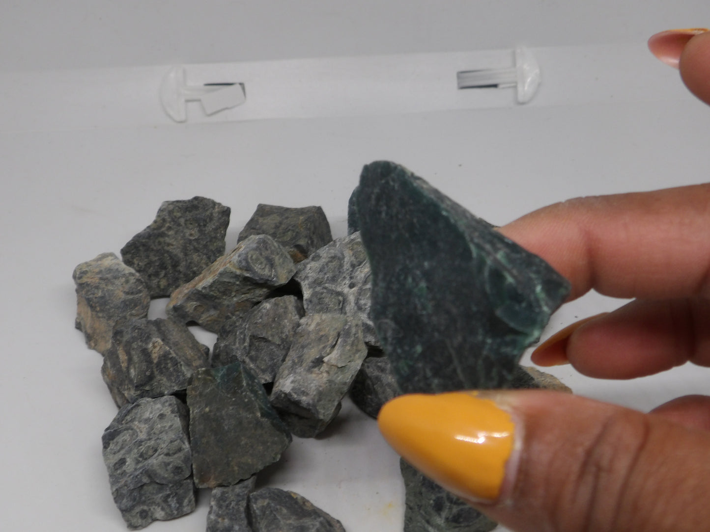 Kabamba Jasper