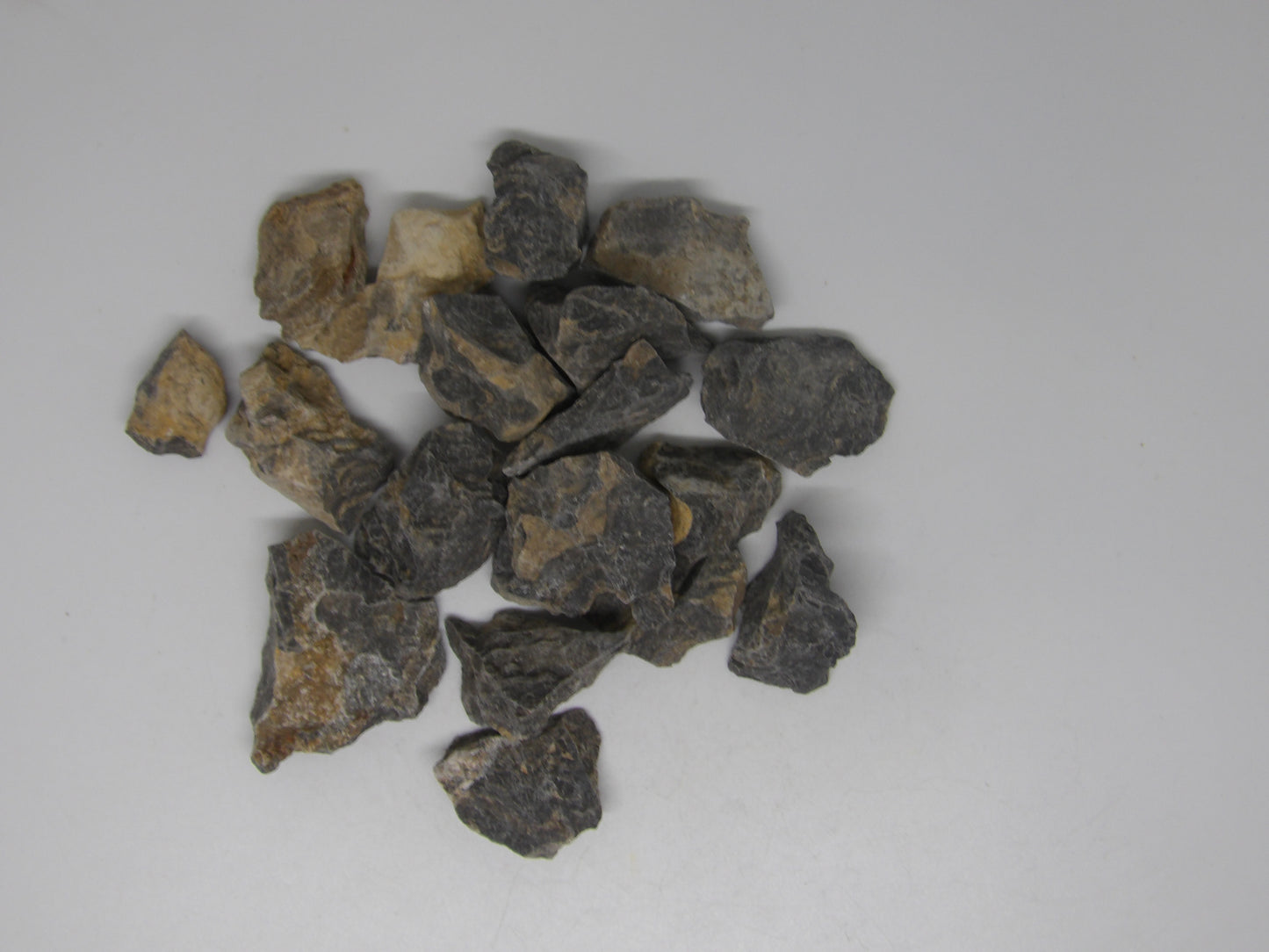 Raw Stromatolite