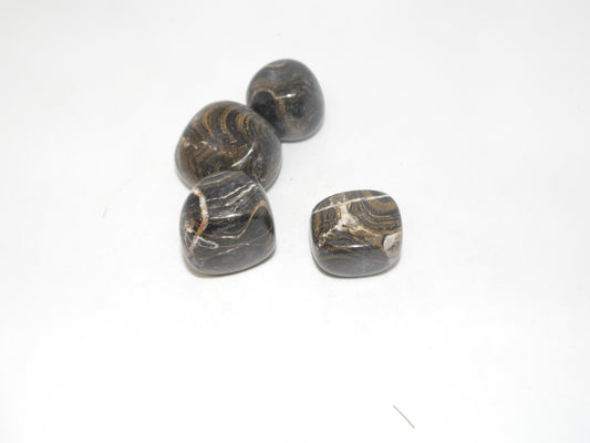 Tumbled Stromatolite