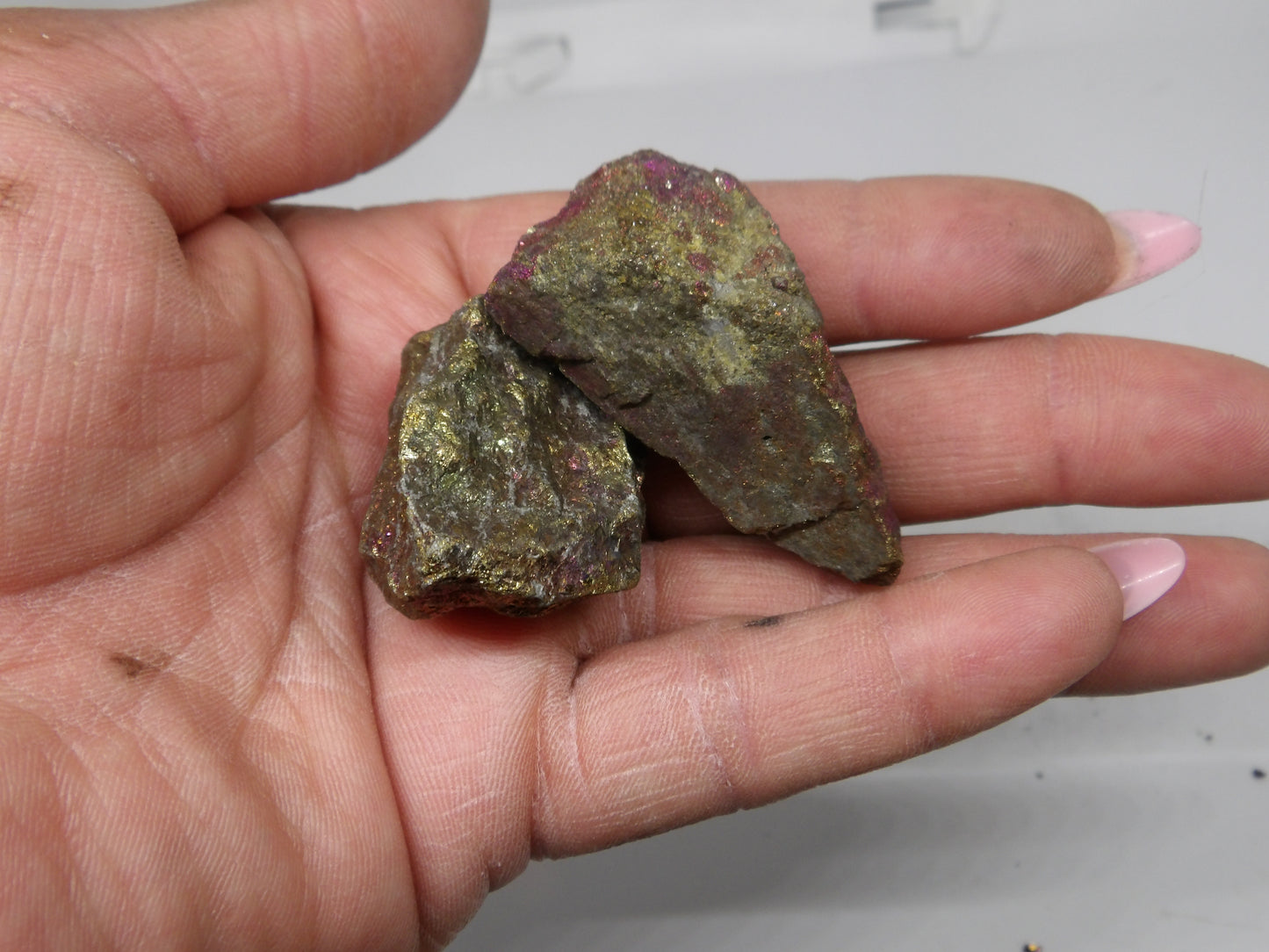 Raw/Rough Chalcopyrite (Peacock Ore)