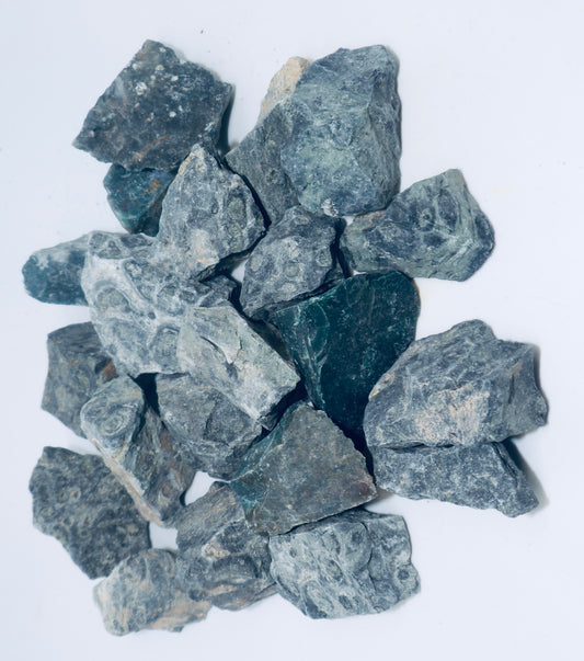 Kabamba Jasper