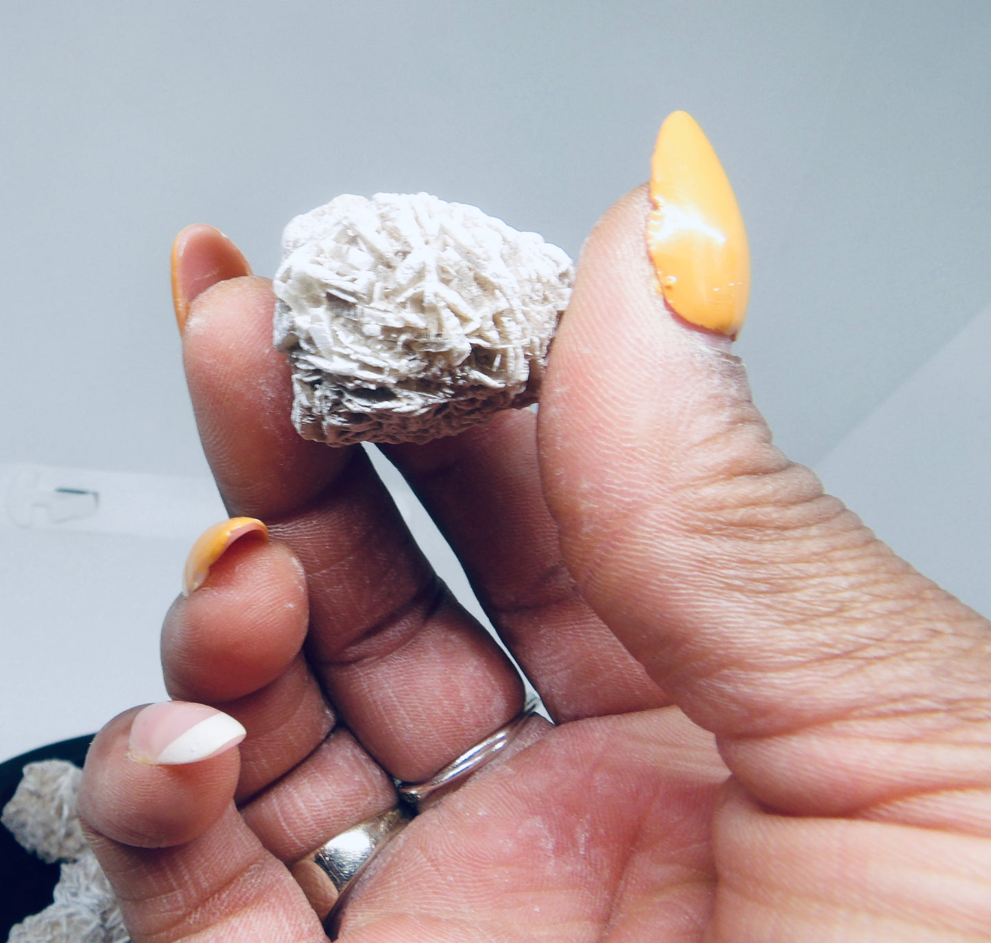 Desert Rose Selenite