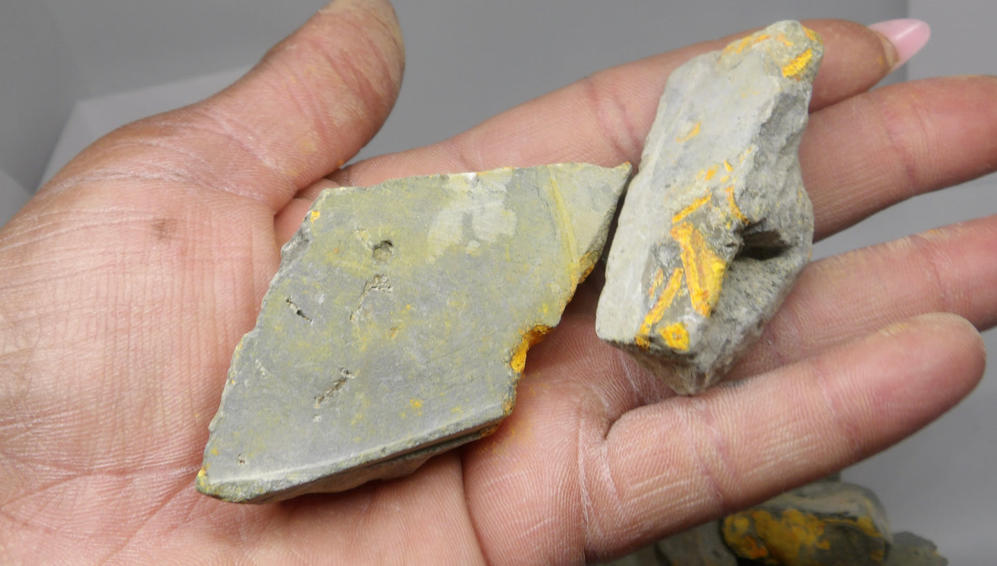 Raw Bumblebee Jasper