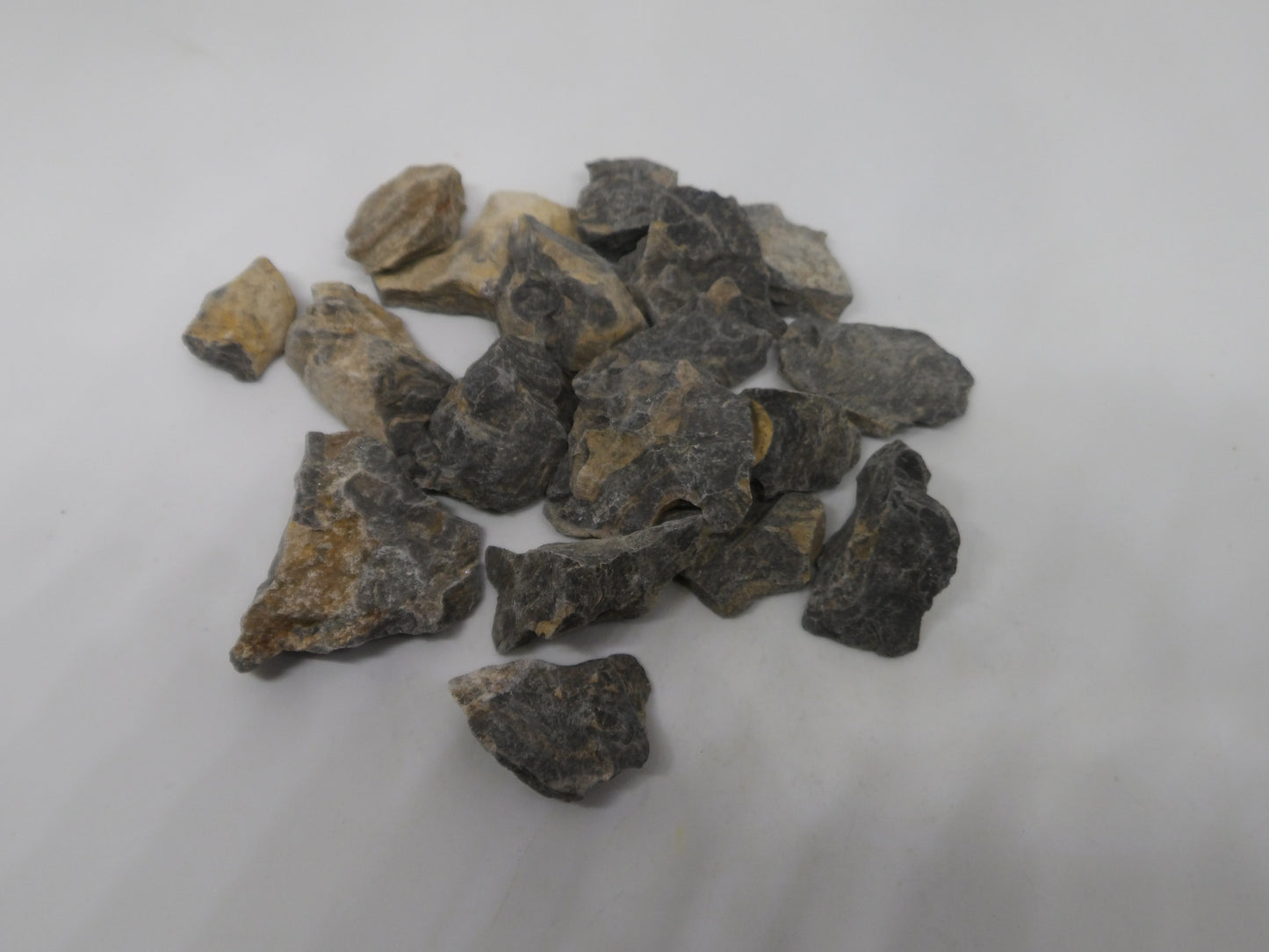 Raw Stromatolite
