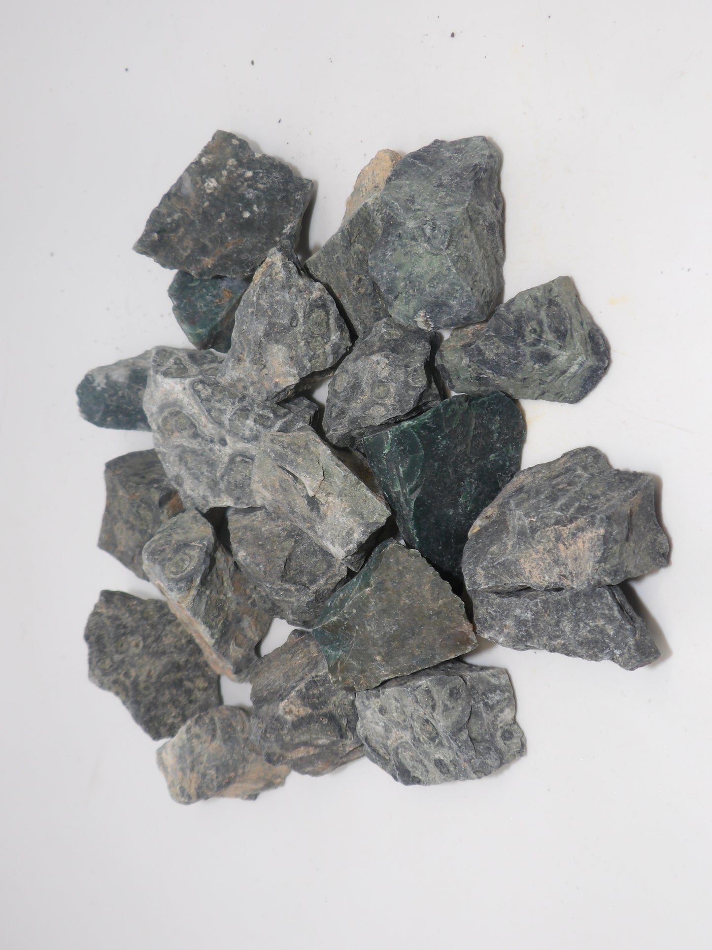Kabamba Jasper