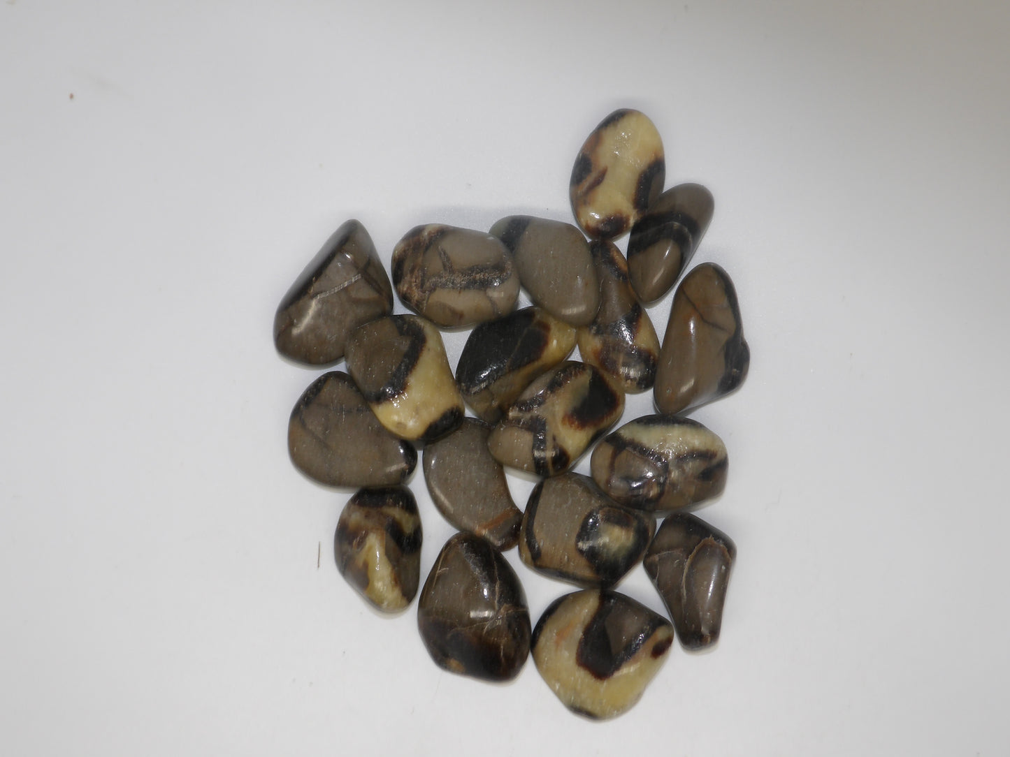 Tumbled Septarian