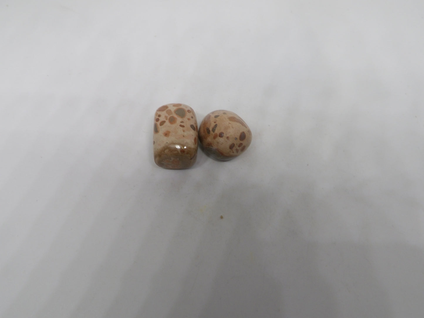 Leopard Jasper