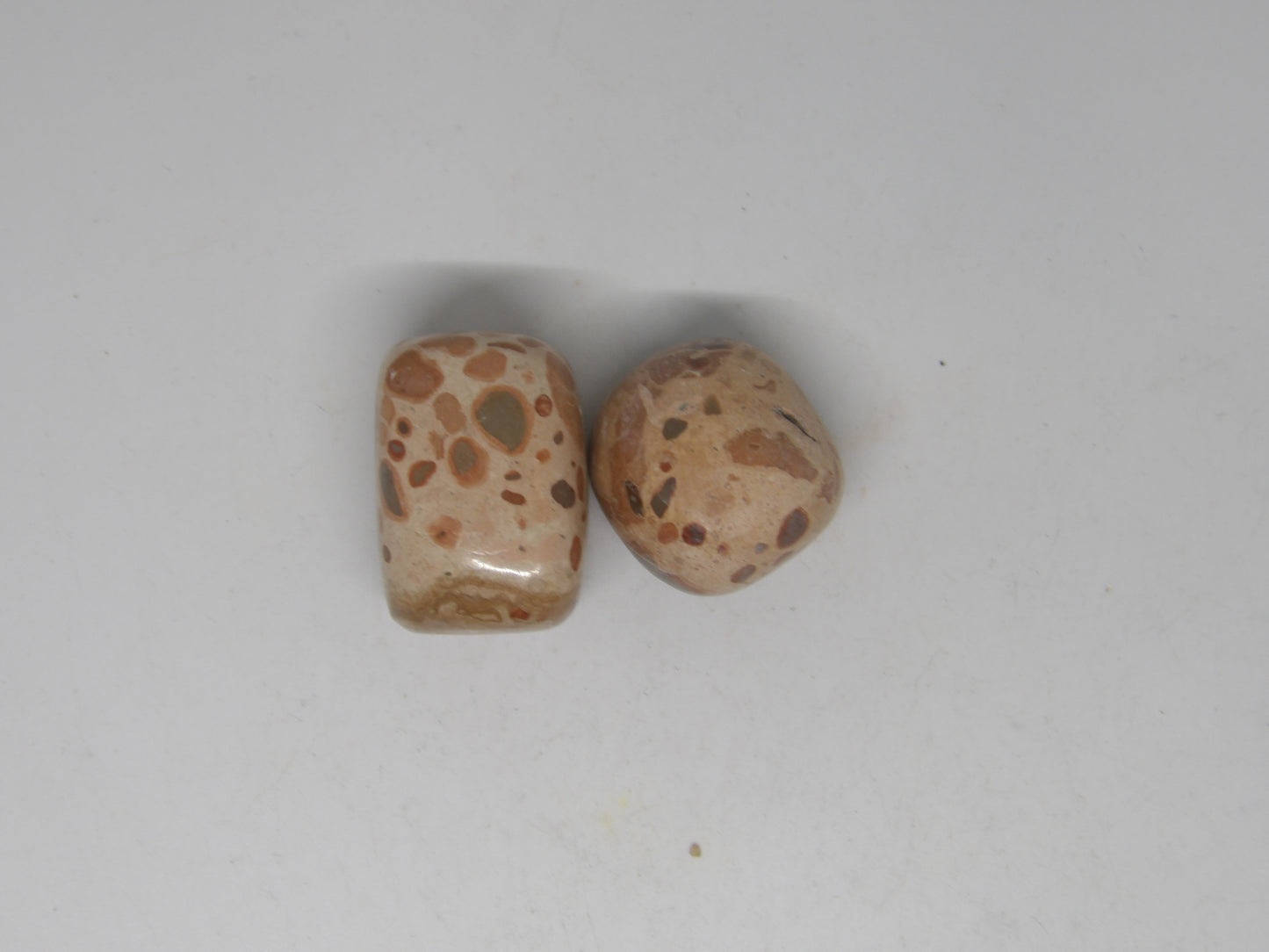 Leopard Jasper