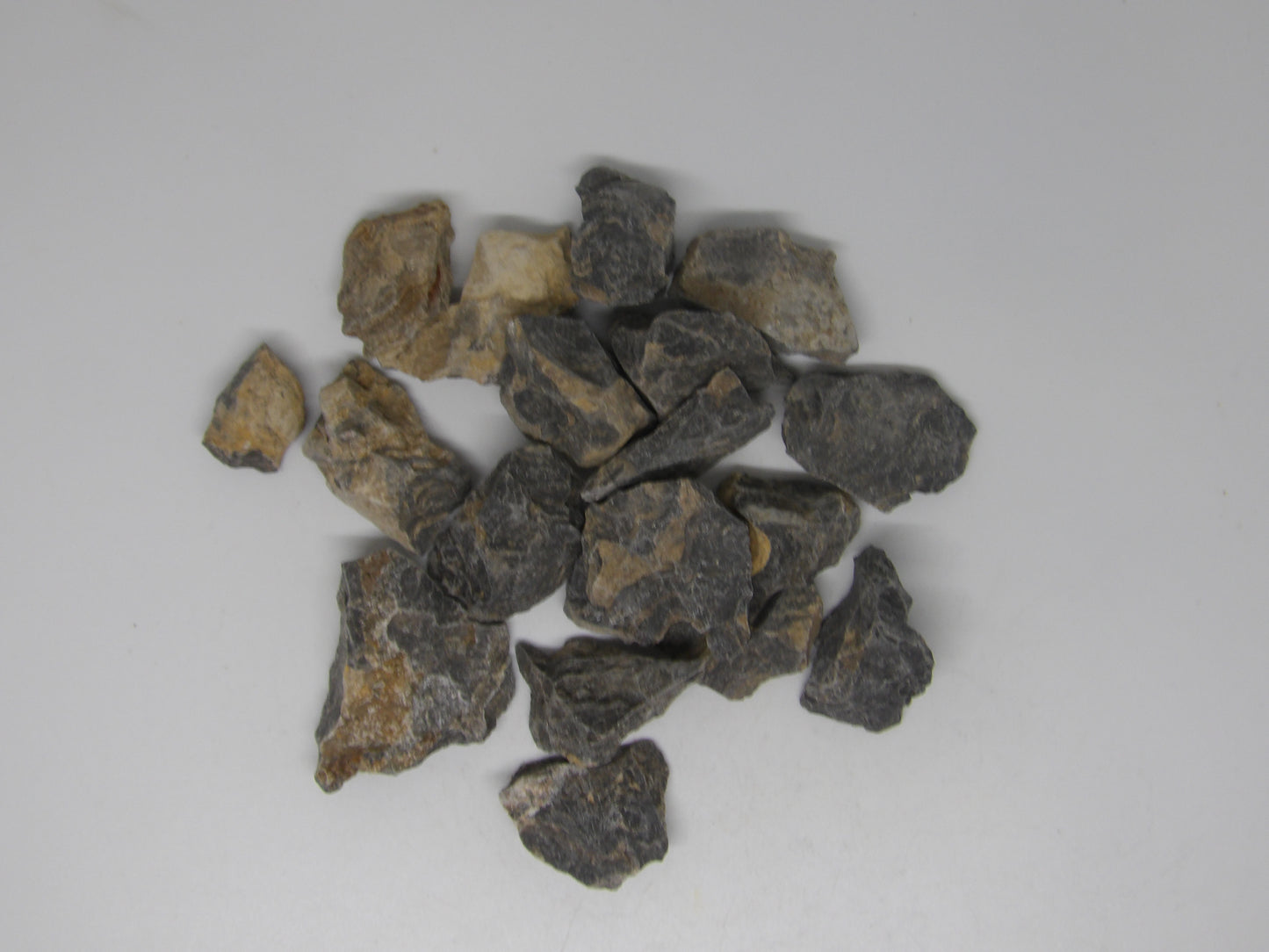 Raw Stromatolite