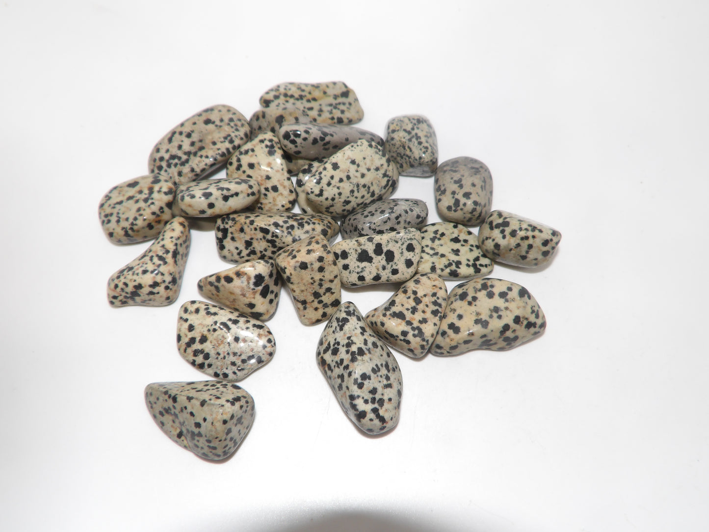 Tumbled Dalmatian Jasper