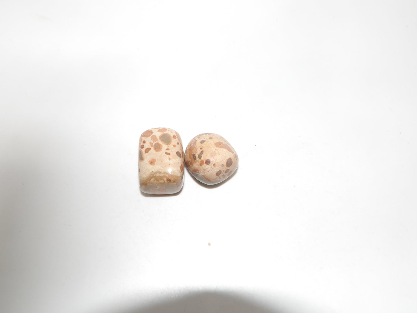Leopard Jasper