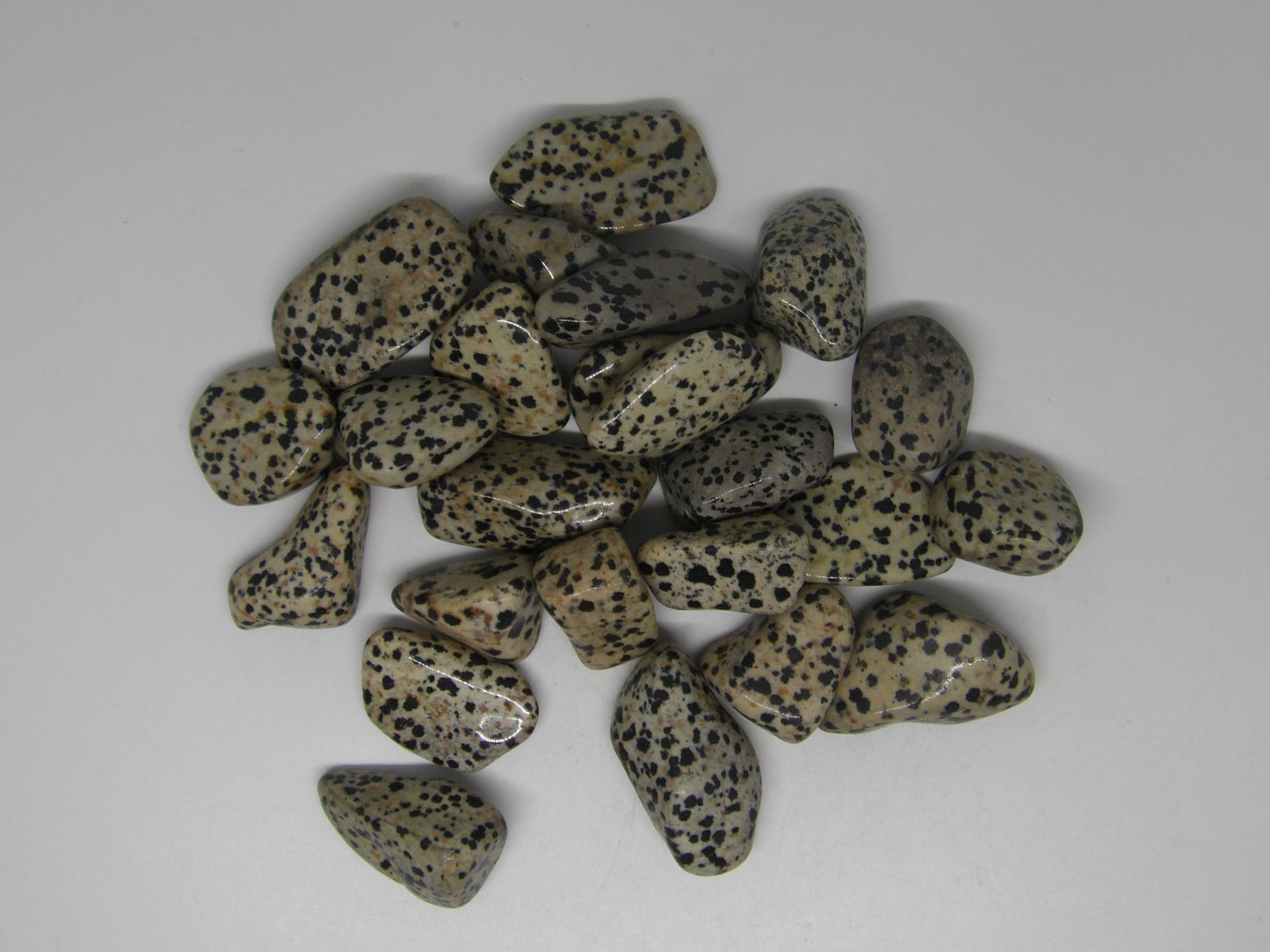 Tumbled Dalmatian Jasper