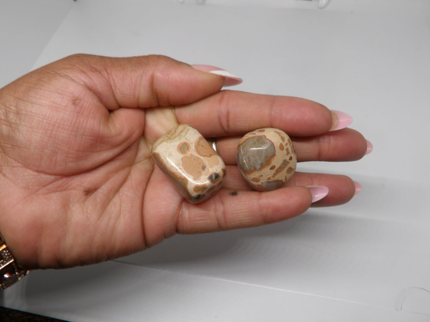 Leopard Jasper