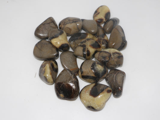 Tumbled Septarian