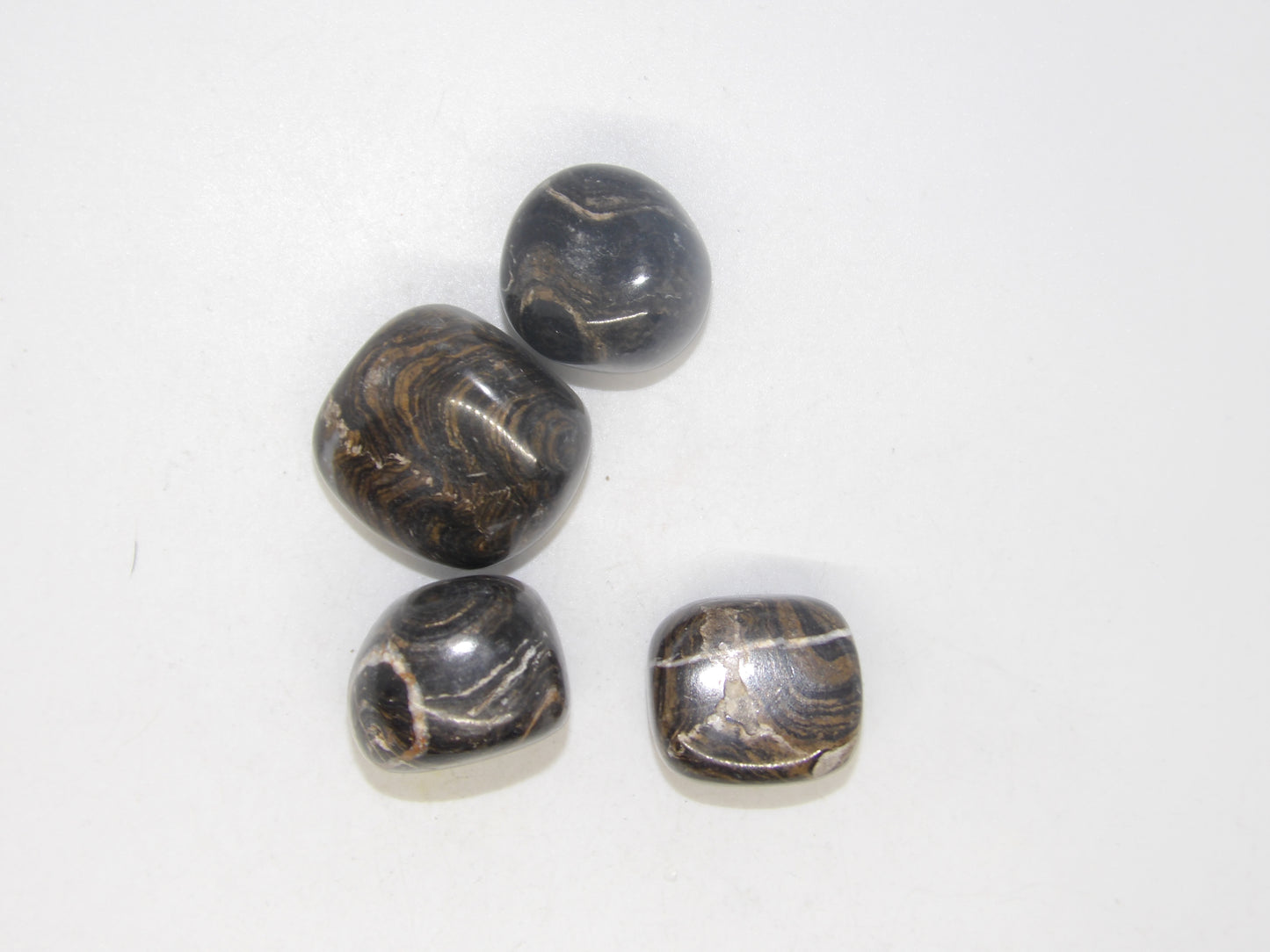 Tumbled Stromatolite