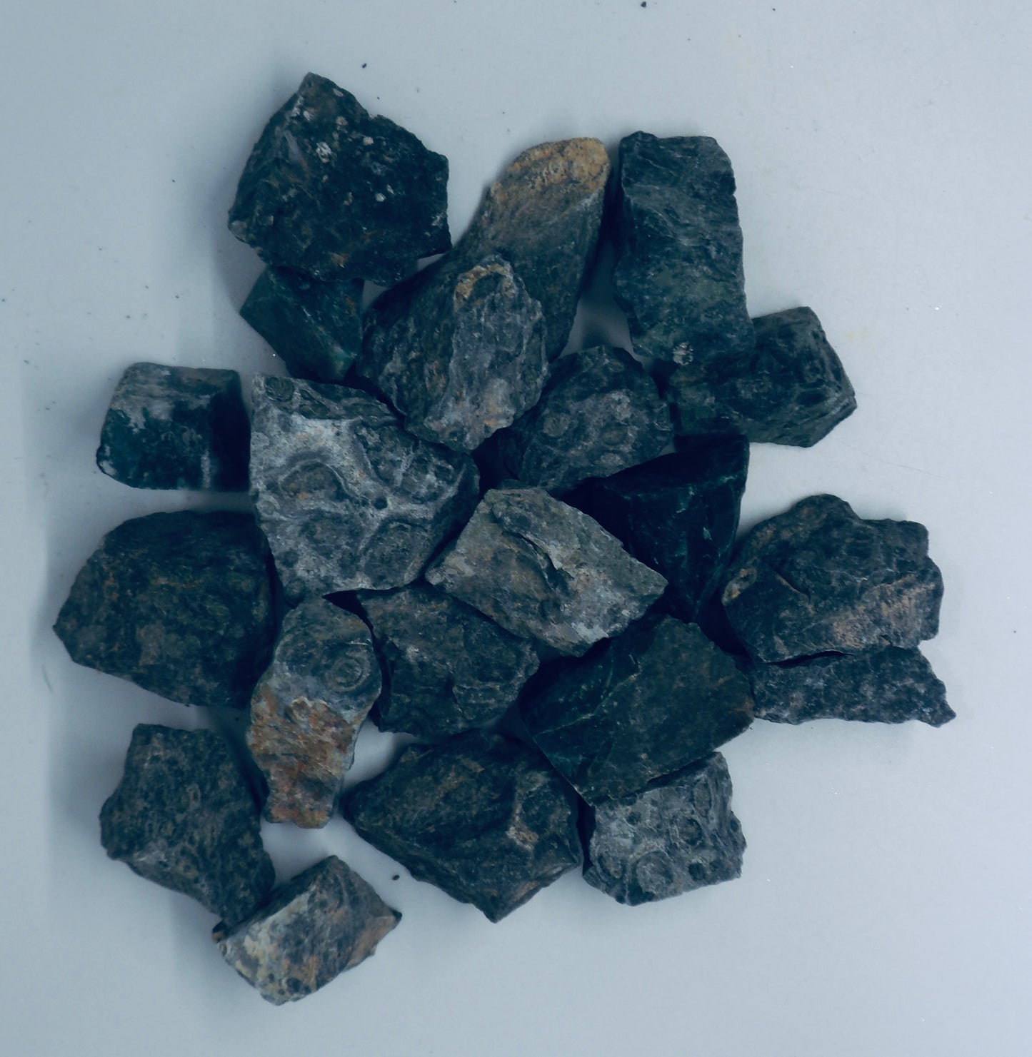 Kabamba Jasper