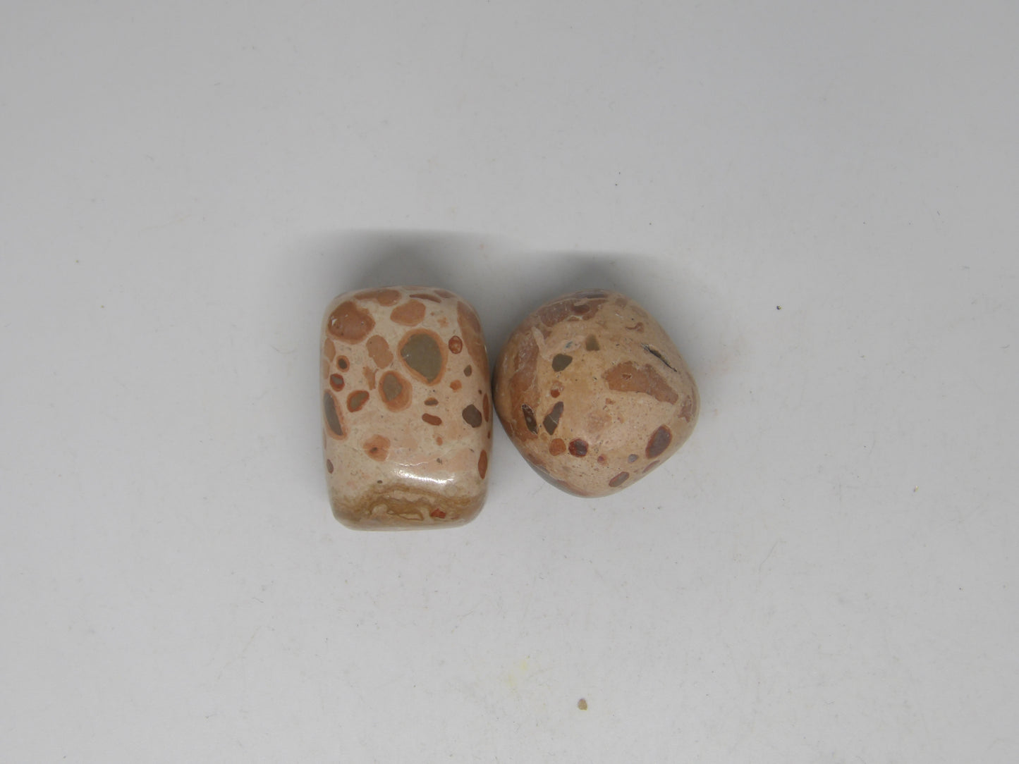 Leopard Jasper