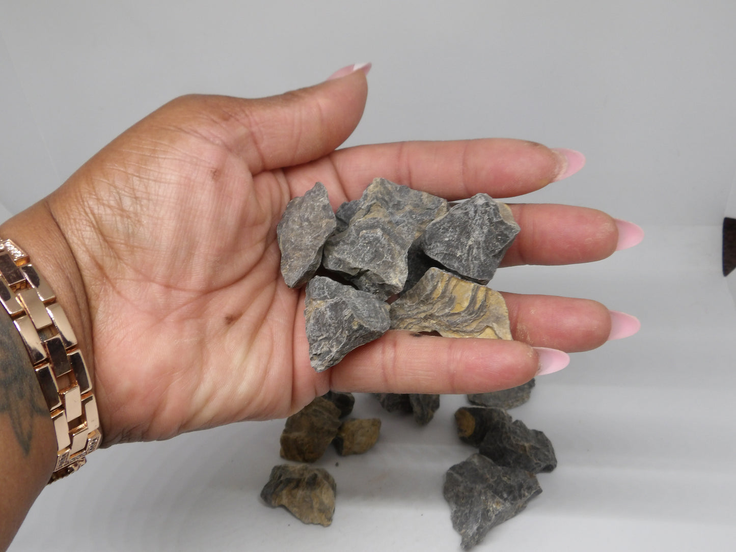 Raw Stromatolite