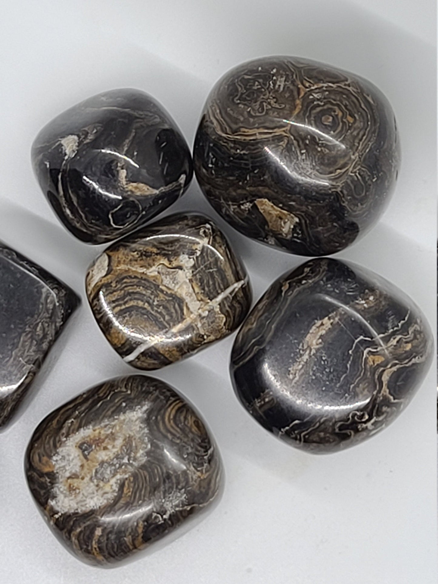 Tumbled Stromatolite