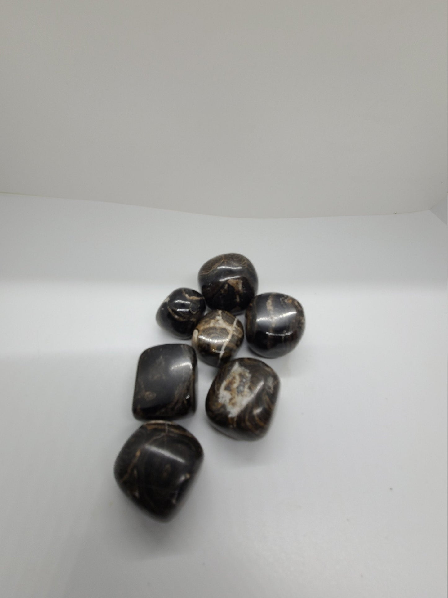 Tumbled Stromatolite