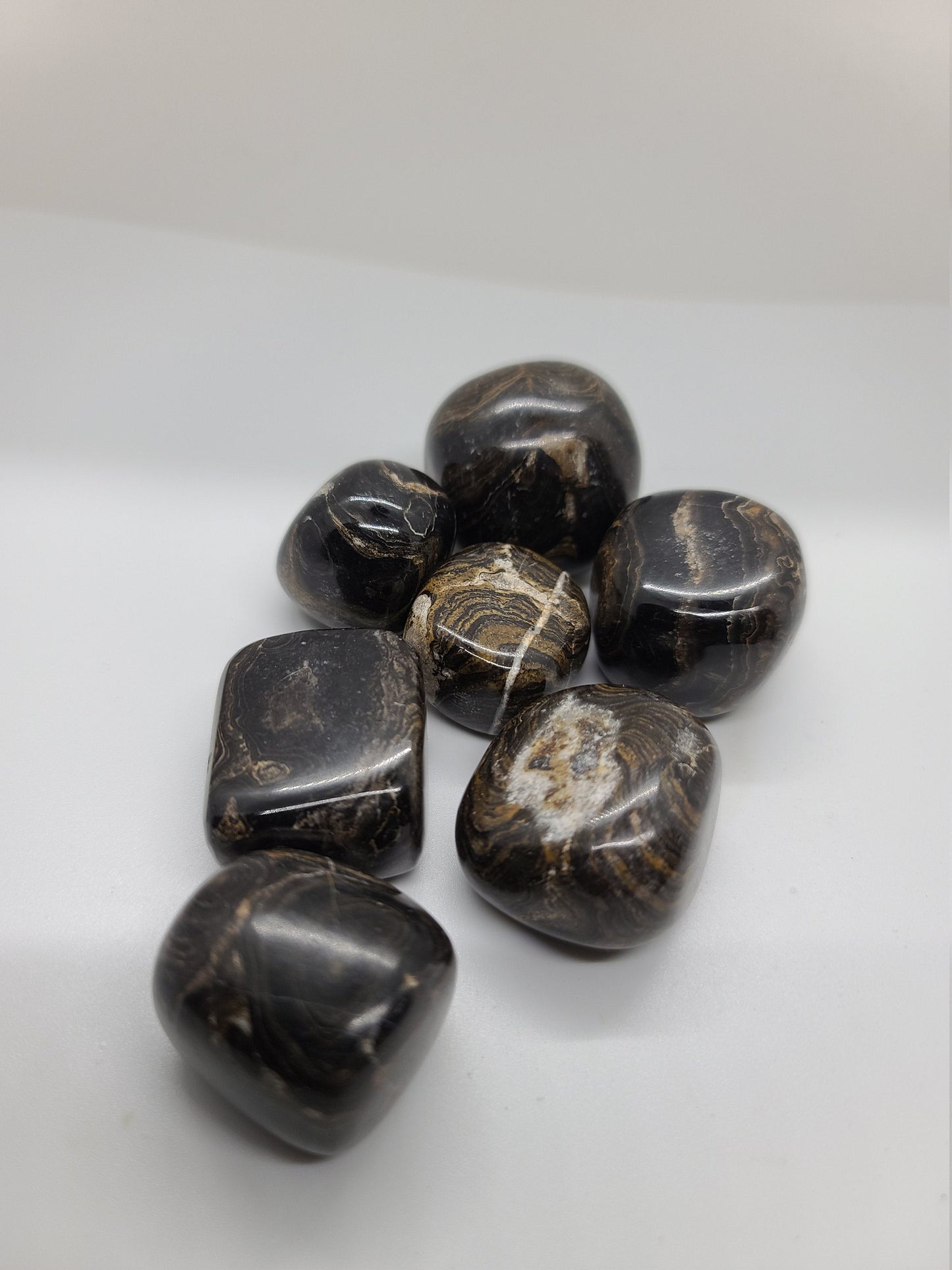 Tumbled Stromatolite