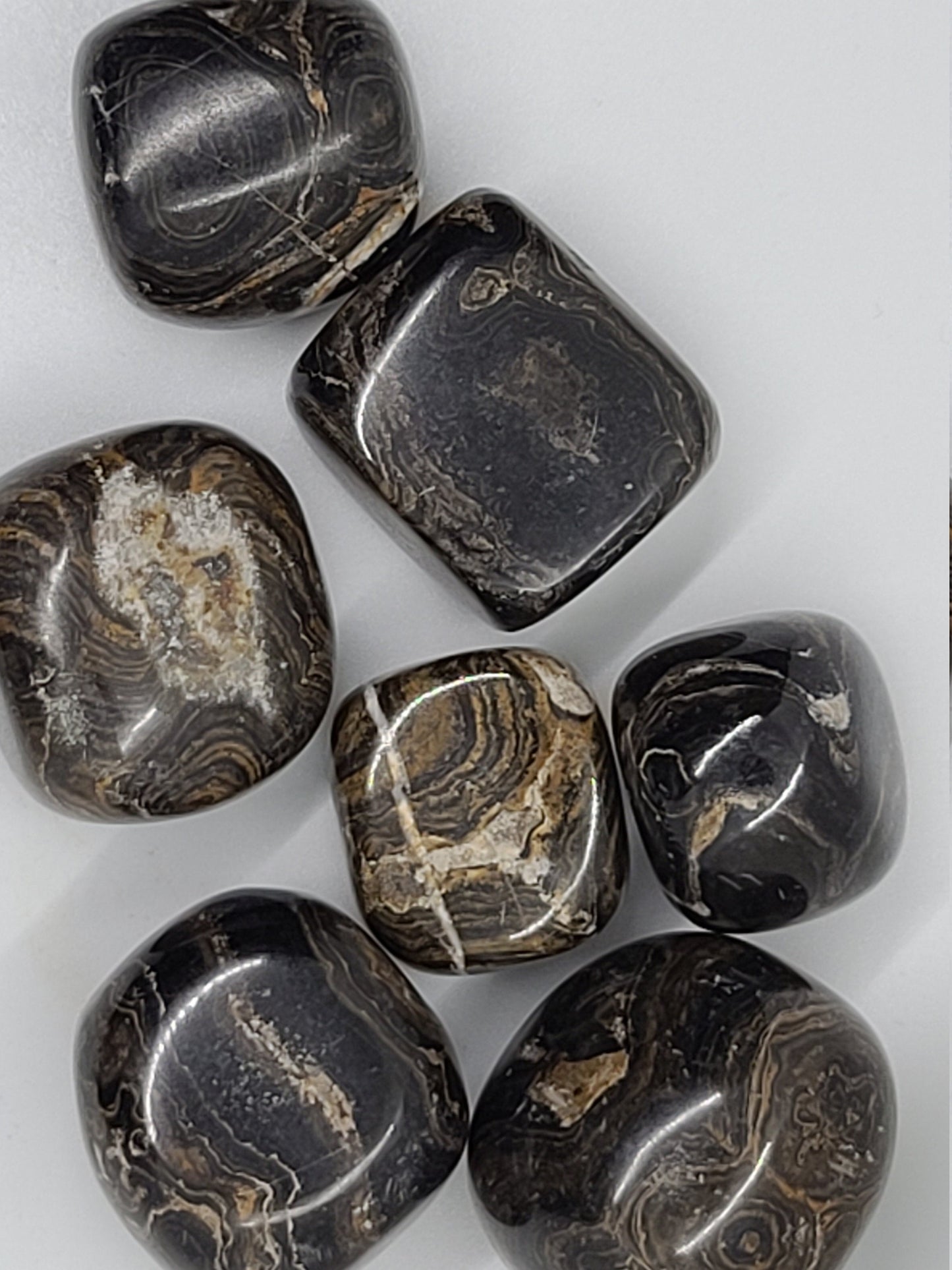 Tumbled Stromatolite