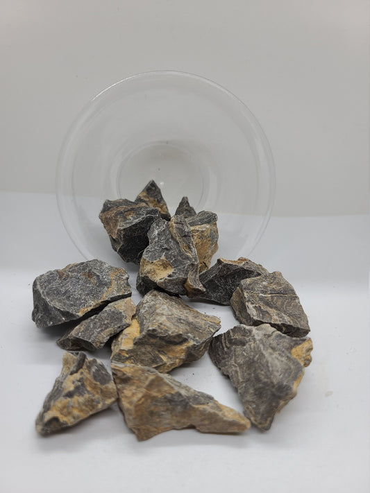 Raw Stromatolite