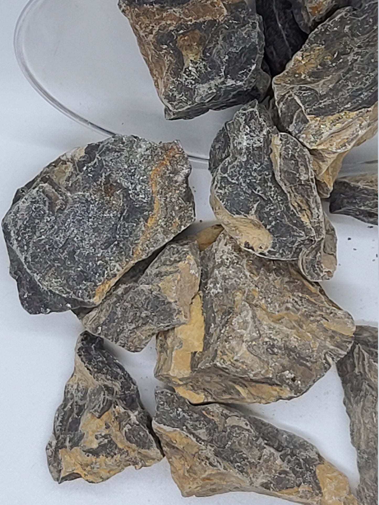 Raw Stromatolite