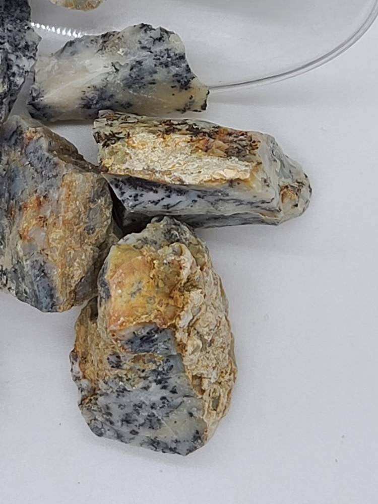 Raw Dendtritic Chalcedony