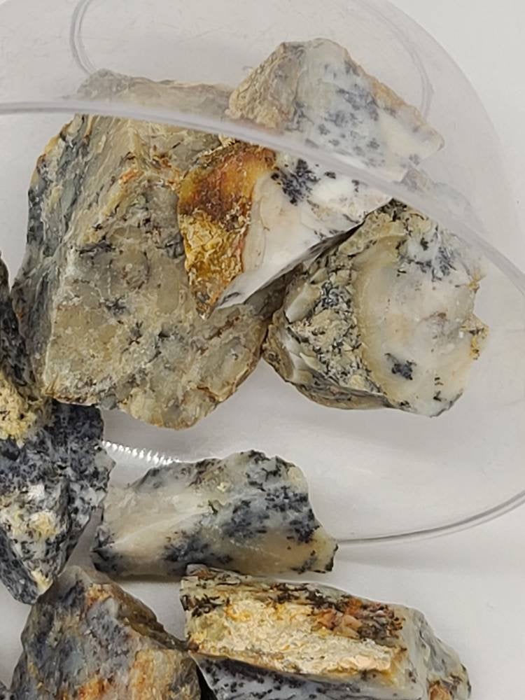 Raw Dendtritic Chalcedony