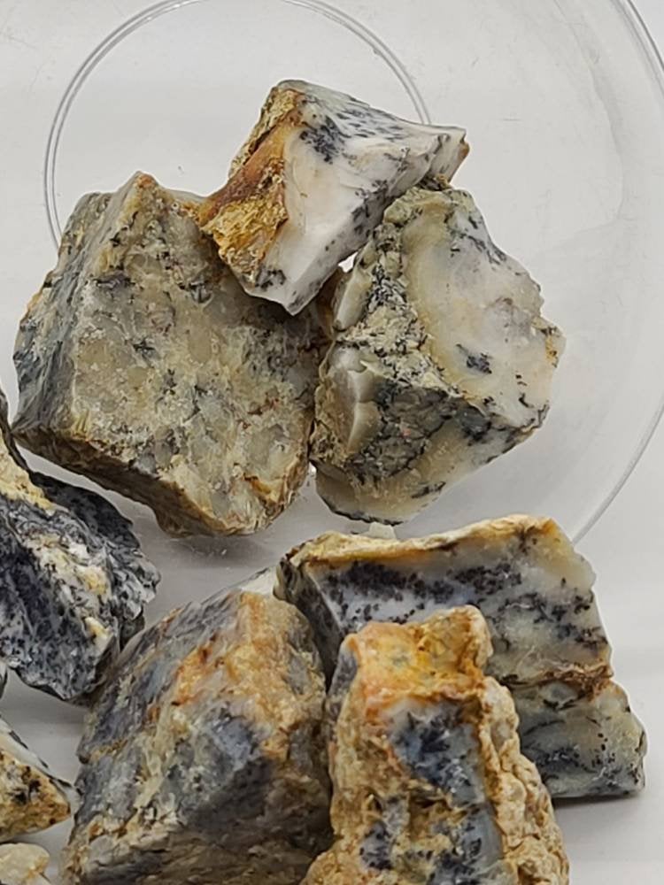 Raw Dendtritic Chalcedony