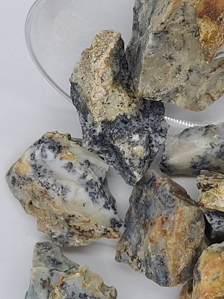 Raw Dendtritic Chalcedony