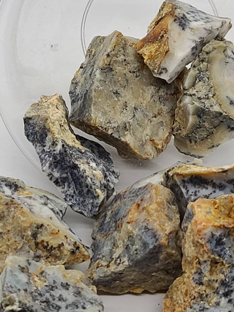 Raw Dendtritic Chalcedony